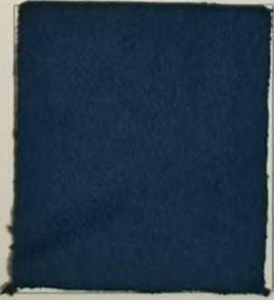 Rideau Occultant Velours Bleu Marine Salon