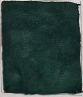Rideau Occultant Velours Vert Sapin Bureau