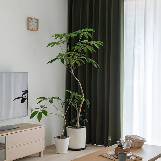 Schlafzimmervorhänge